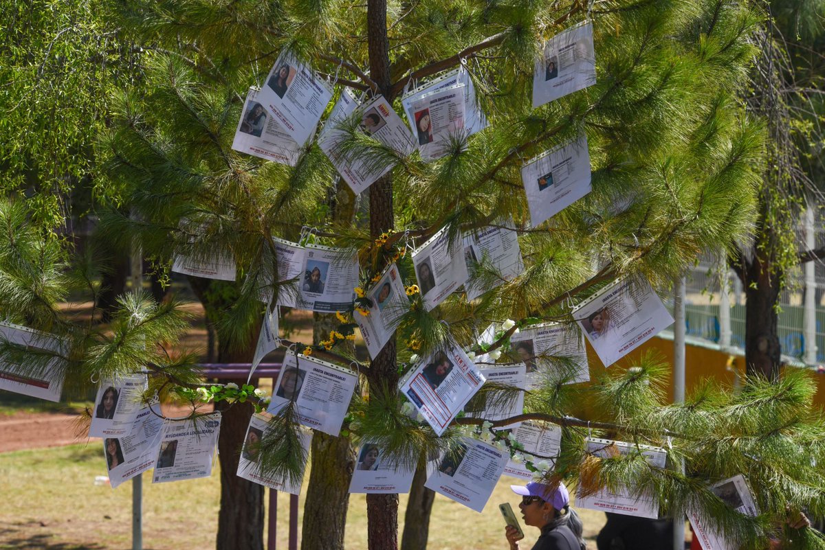 Opinión La Silla Rota tweet media