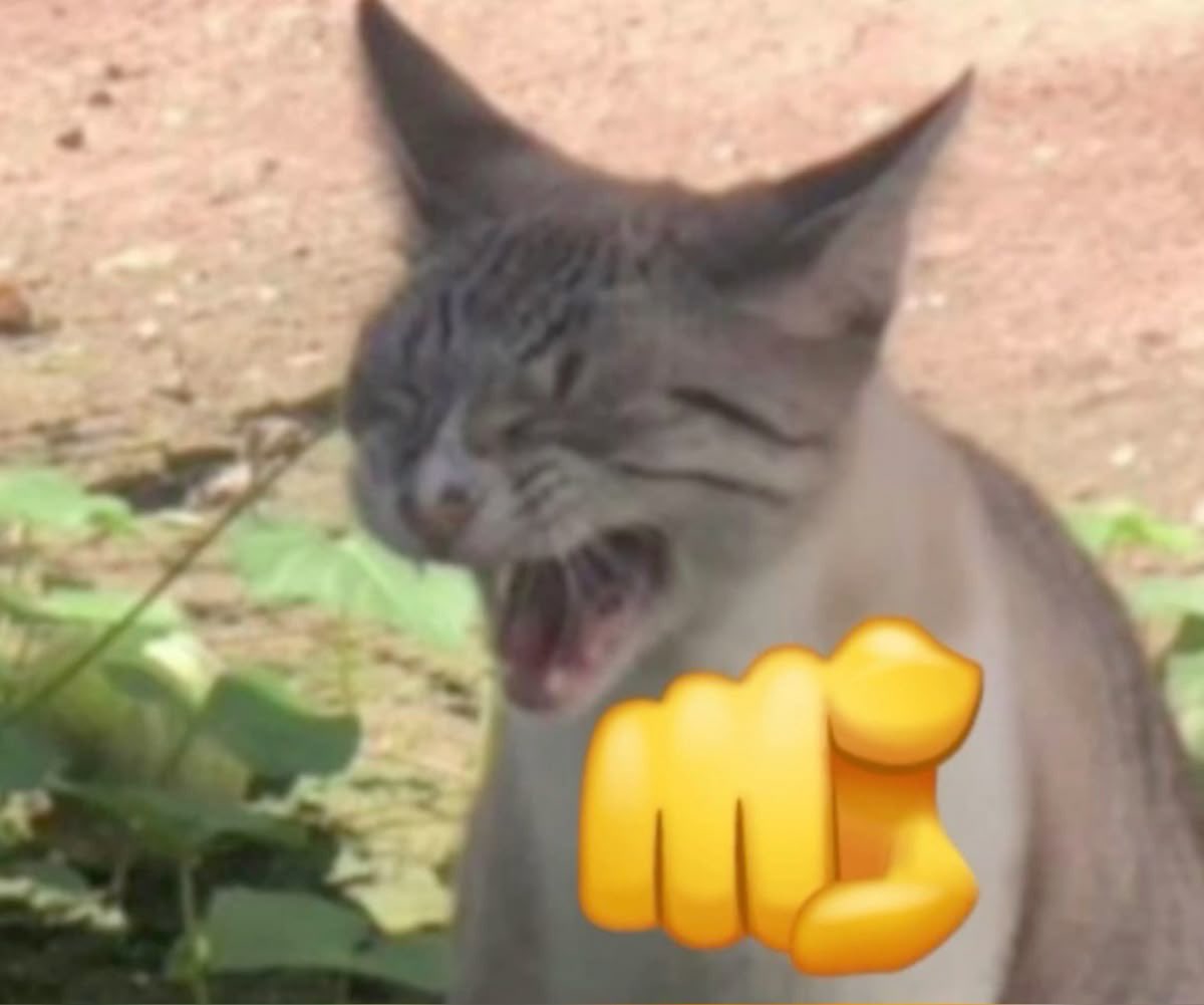 la risa que me da que busquen entradas para la final solo para ver a megan cuando ni a los que le gusta valorant tienen una