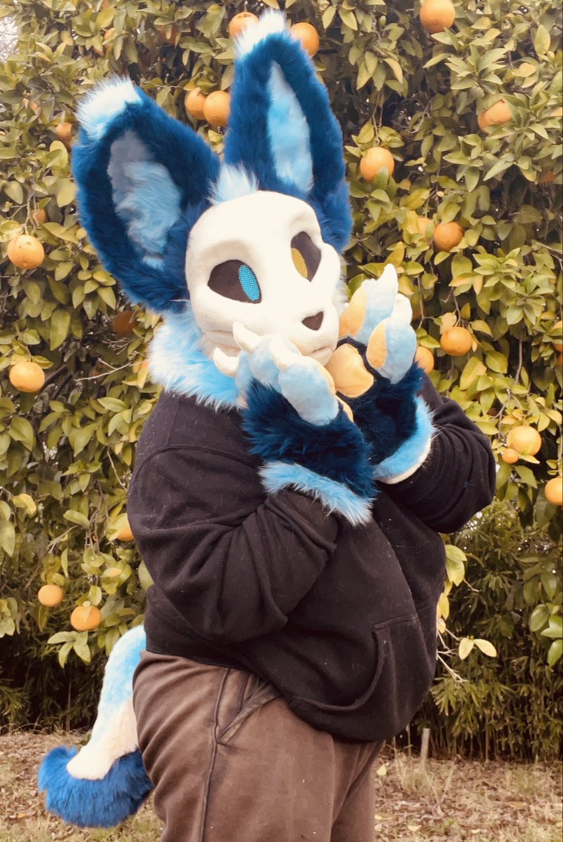 MonarchRooster's tweet photo. Lowkey forgot i had X for a hot moment, heres some fursuit stuff ive finished!!
#furry #fursuit #fursuitmaker https://t.co/yGvMxpd6Qt