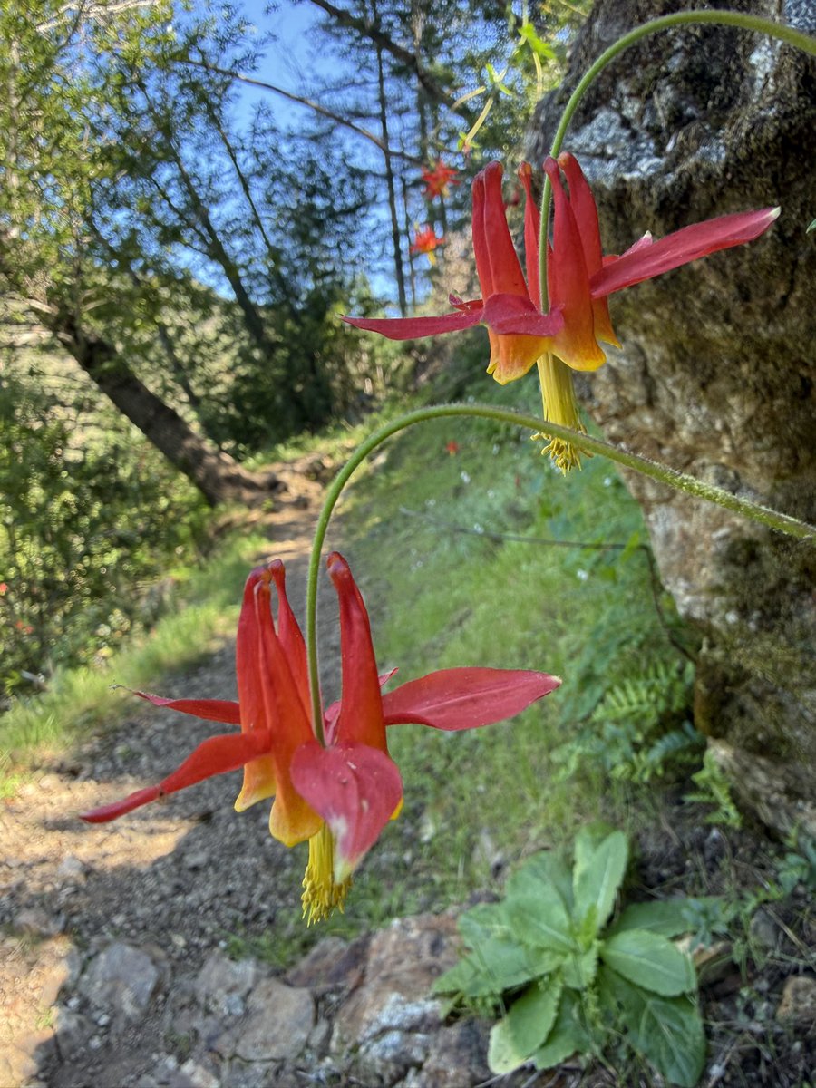 AdaptationsX tweet media