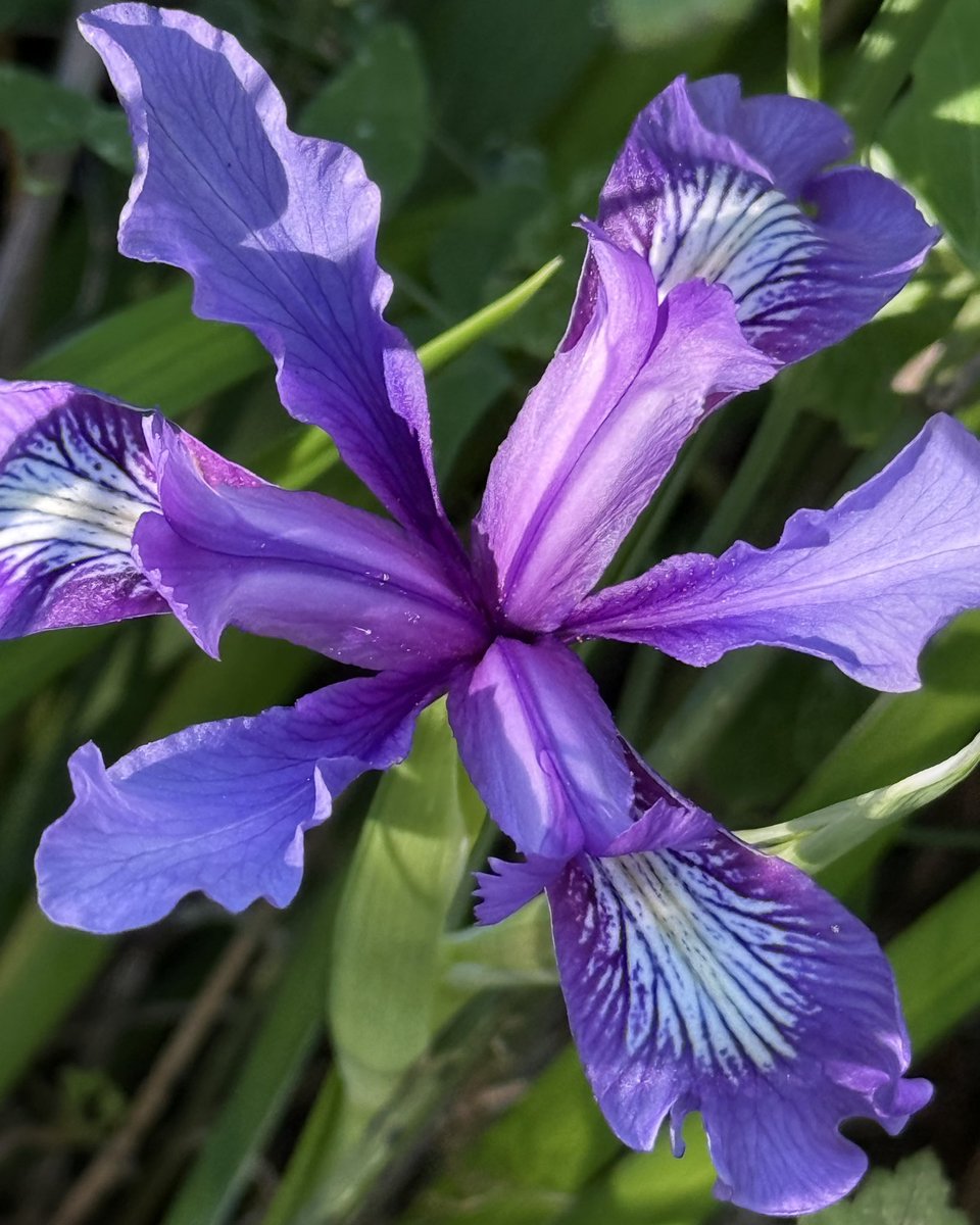 AdaptationsX tweet media