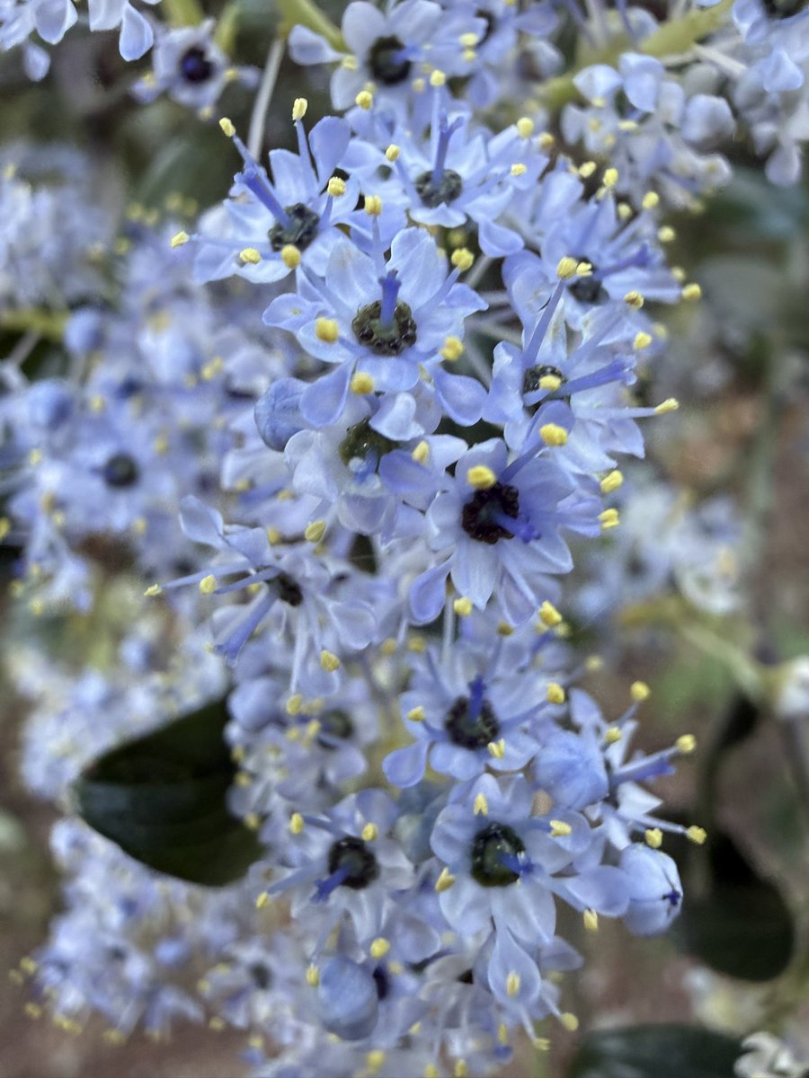 AdaptationsX tweet media