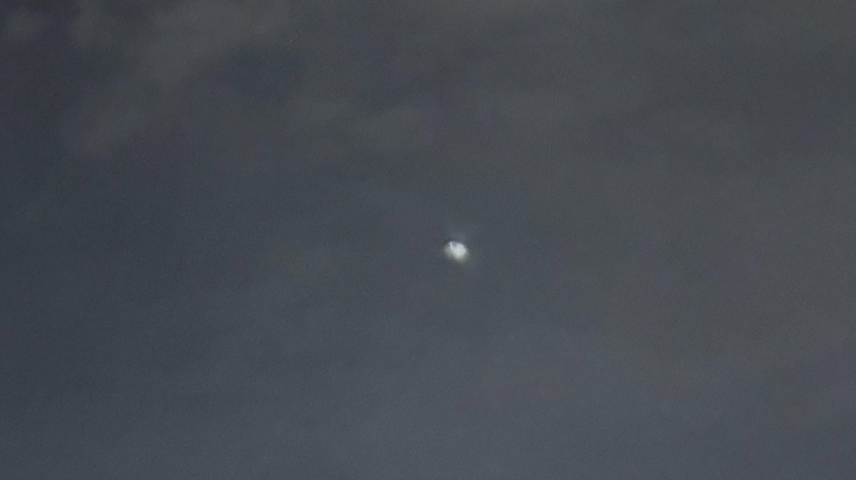 وجدان tweet media