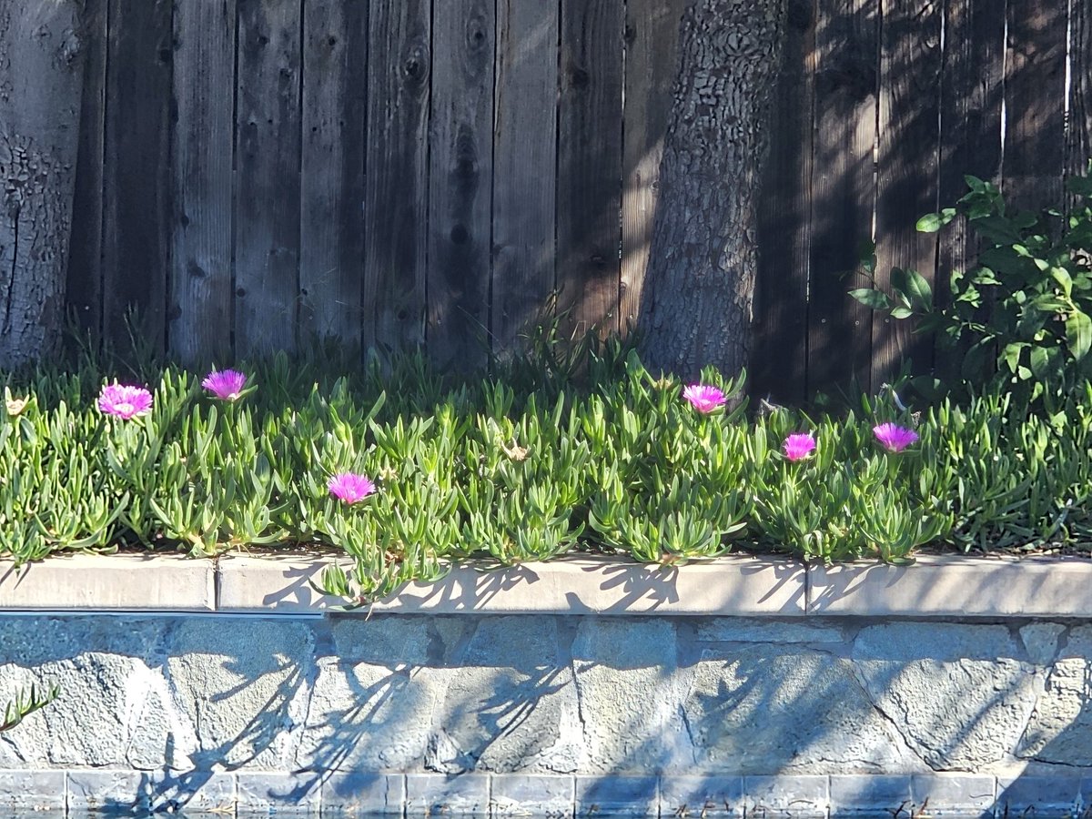 Kim Stomperbeanie Jackson tweet media