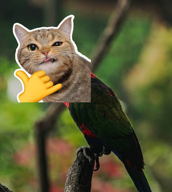 Brisbanes tweet media