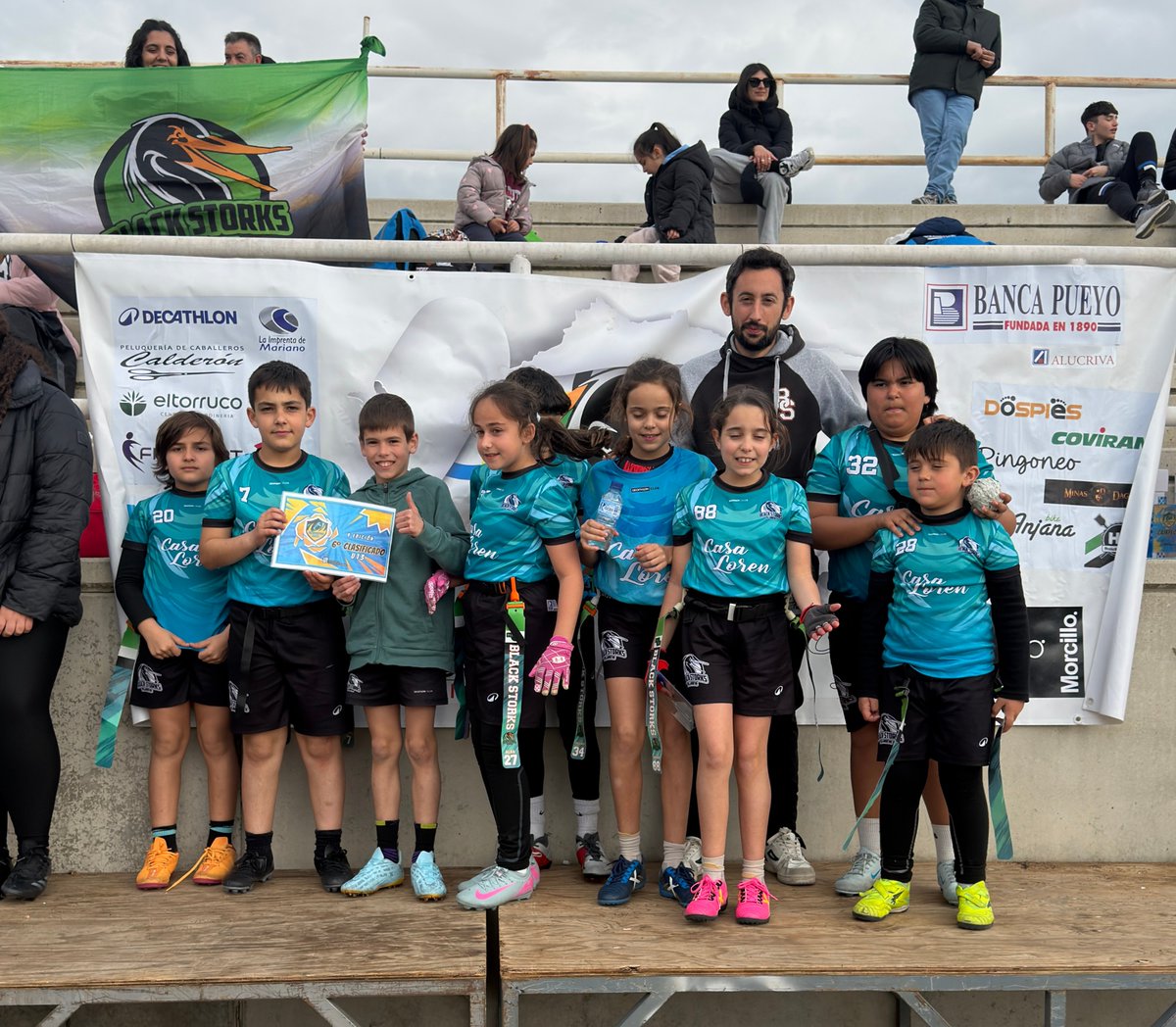 Vva Black Storks tweet media