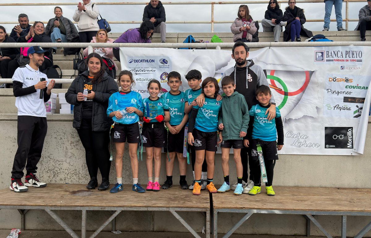 Vva Black Storks tweet media