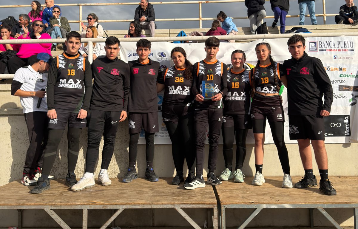 Vva Black Storks tweet media