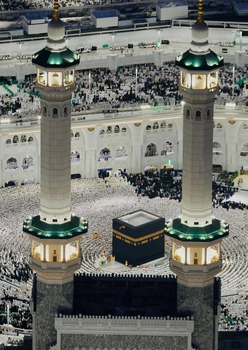 أخبار السعودية tweet media
