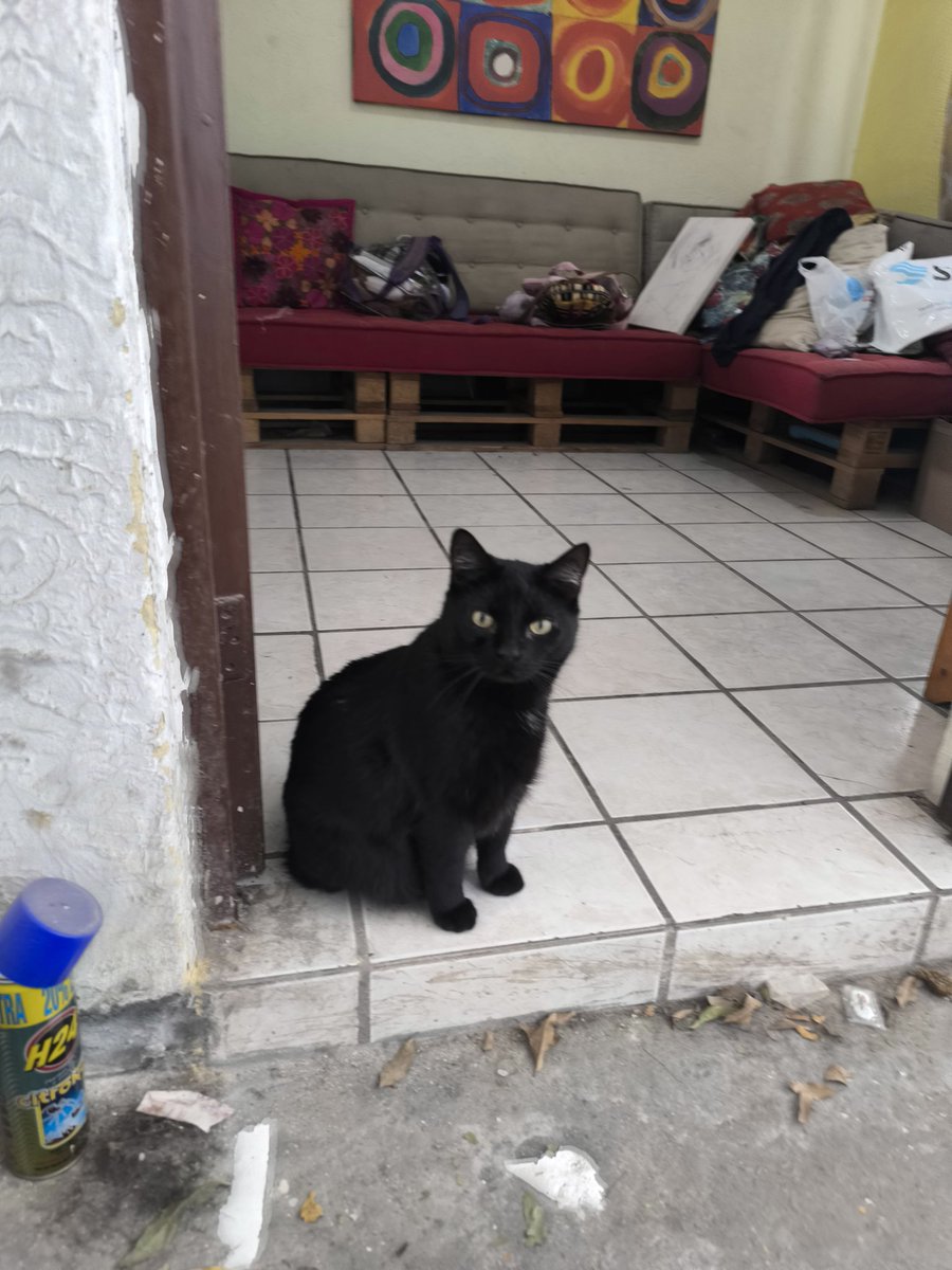 MightShel's tweet image. Cecilio.