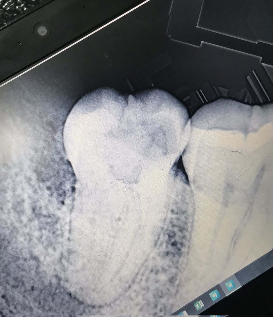 🇱🇾 Dr.bojaa 🇱🇾 tweet media