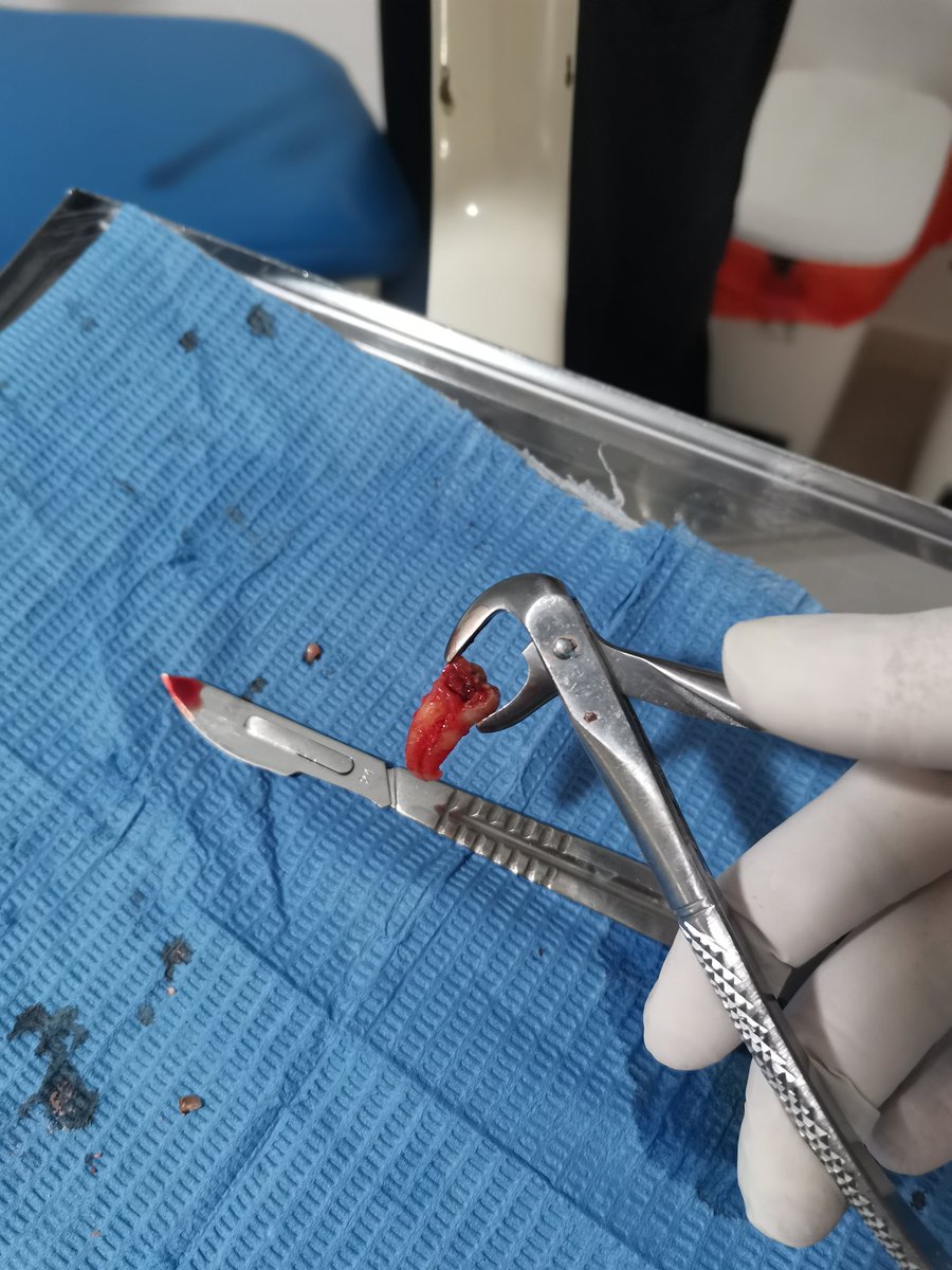 🇱🇾 Dr.bojaa 🇱🇾 tweet media