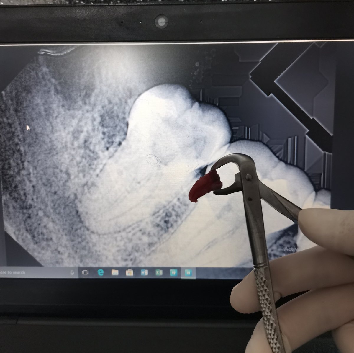 🇱🇾 Dr.bojaa 🇱🇾 tweet media