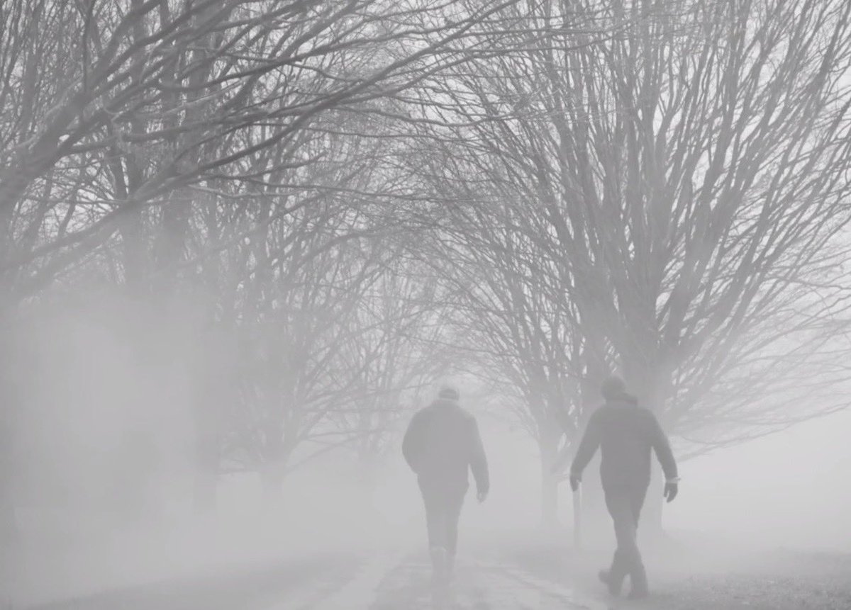 Zack Makes Movies tweet media