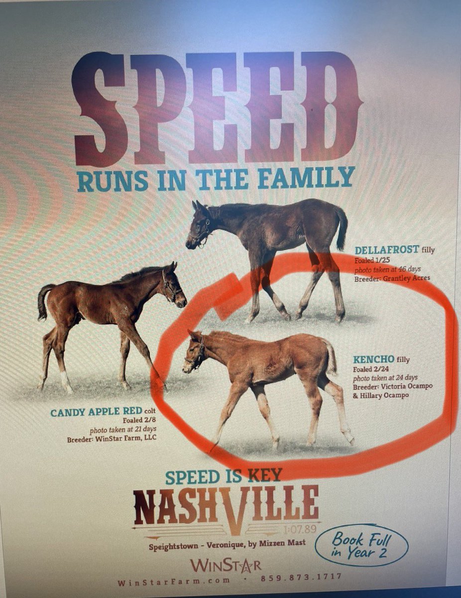 Rose Hill Farm tweet media