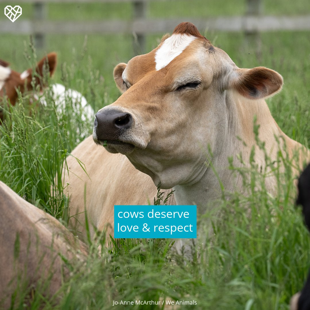 The Humane League tweet media