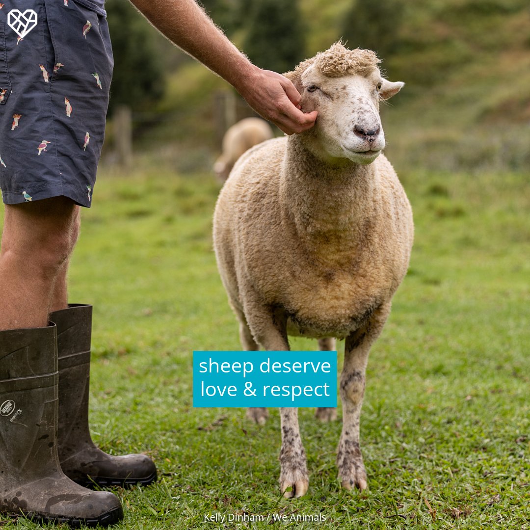 The Humane League tweet media