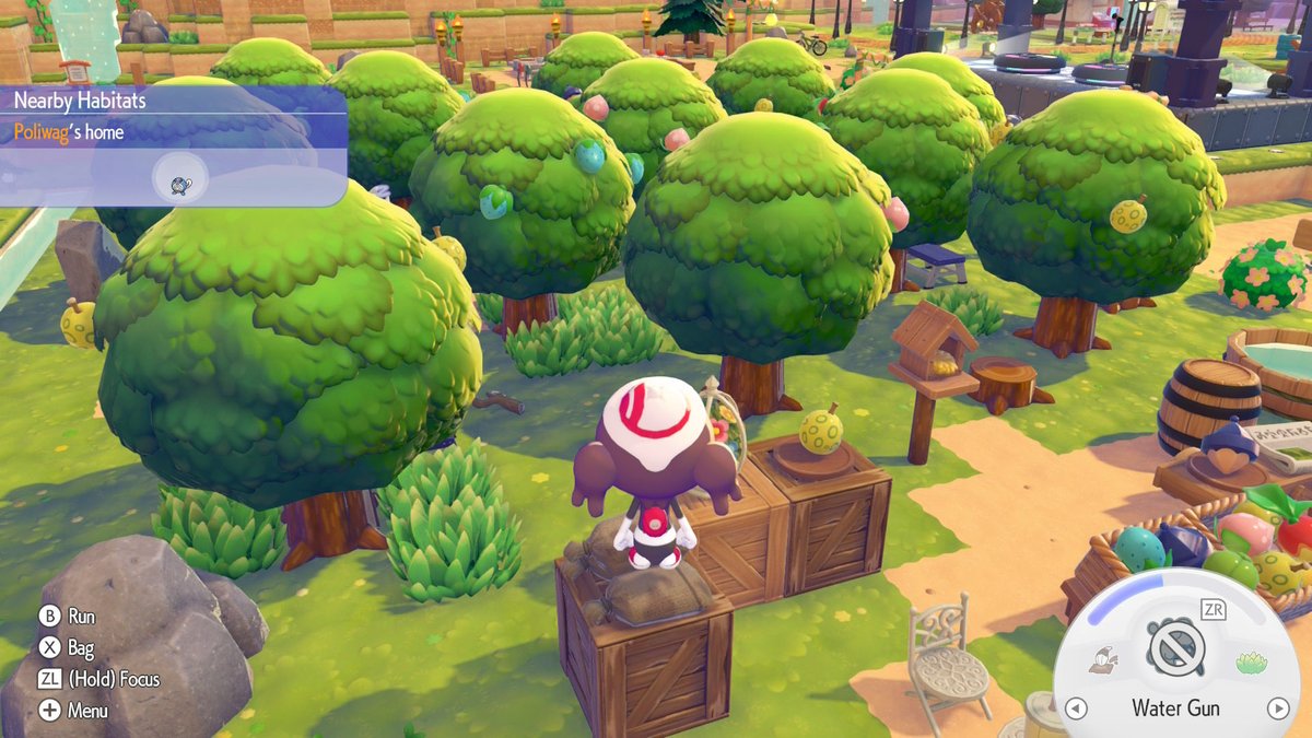 mushybrb's tweet photo. if you’re missing berries you can take pictures of trees on the developer island and come home to print em #pokopia https://t.co/b9L5EqbWNv