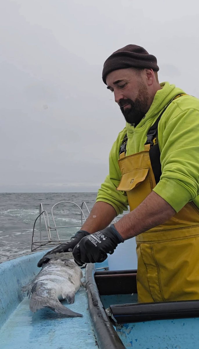 Rogelio Santos Queiruga tweet media