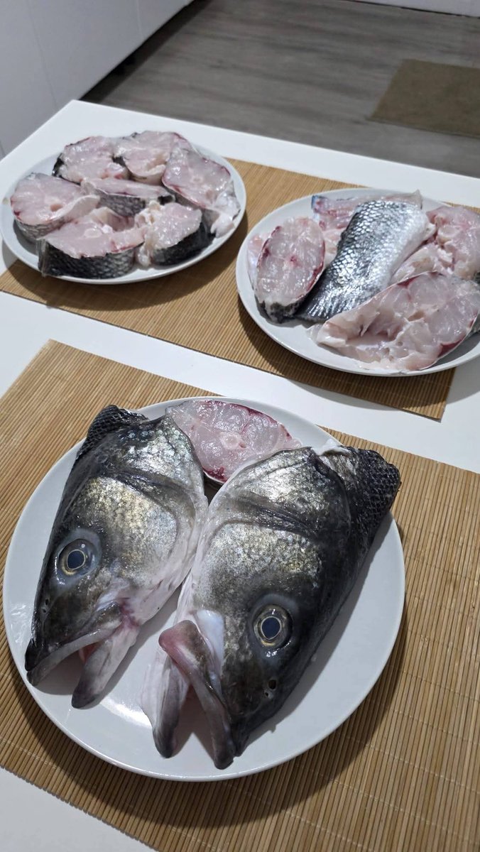 Rogelio Santos Queiruga tweet media