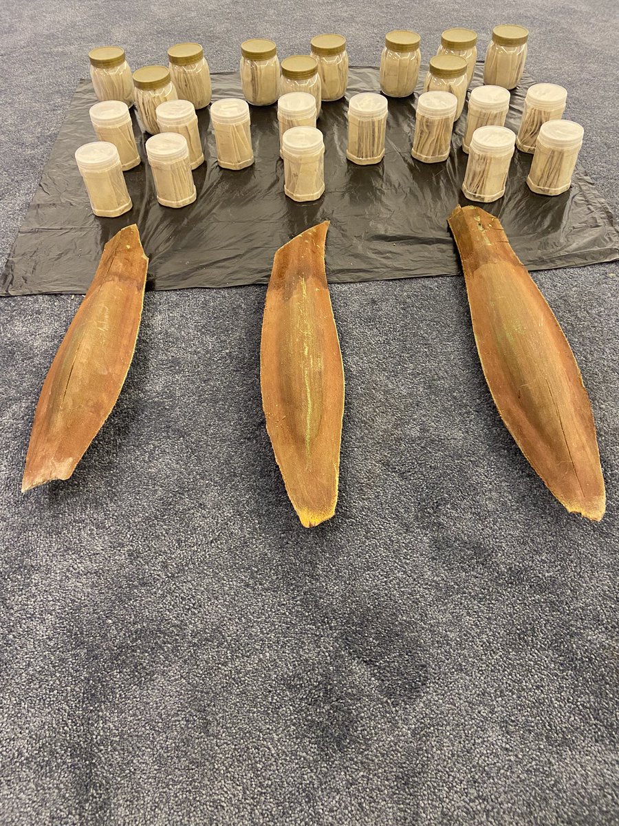 ناصر العبودي tweet media