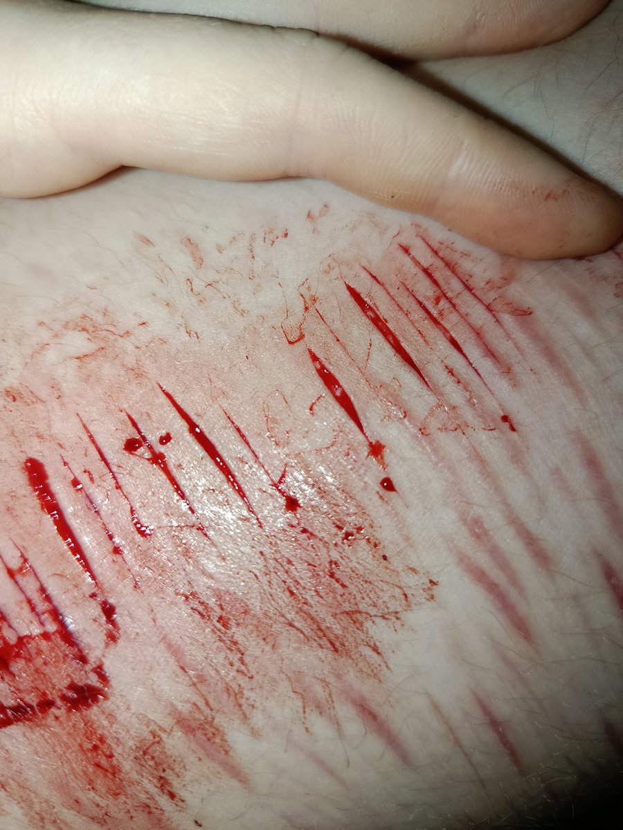 shuji nakaumi of #shedtwt tweet media