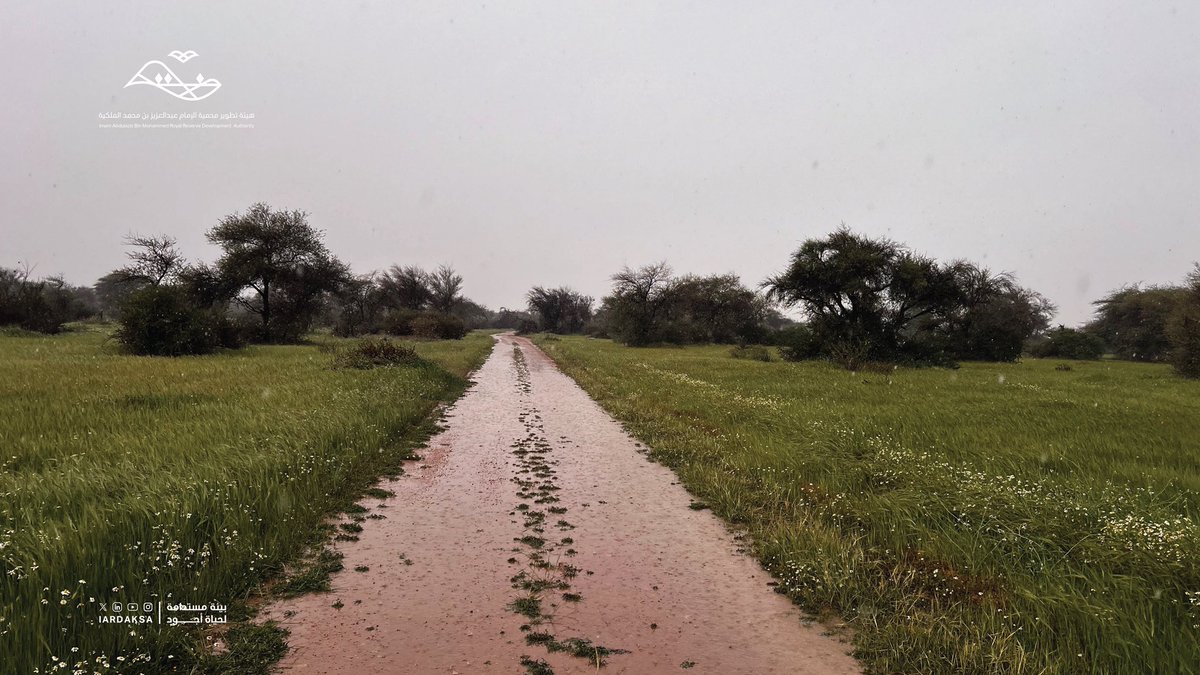 هيئة تطوير محمية الإمام عبدالعزيز بن محمد الملكية tweet media