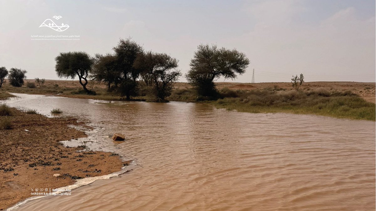 هيئة تطوير محمية الإمام عبدالعزيز بن محمد الملكية tweet media