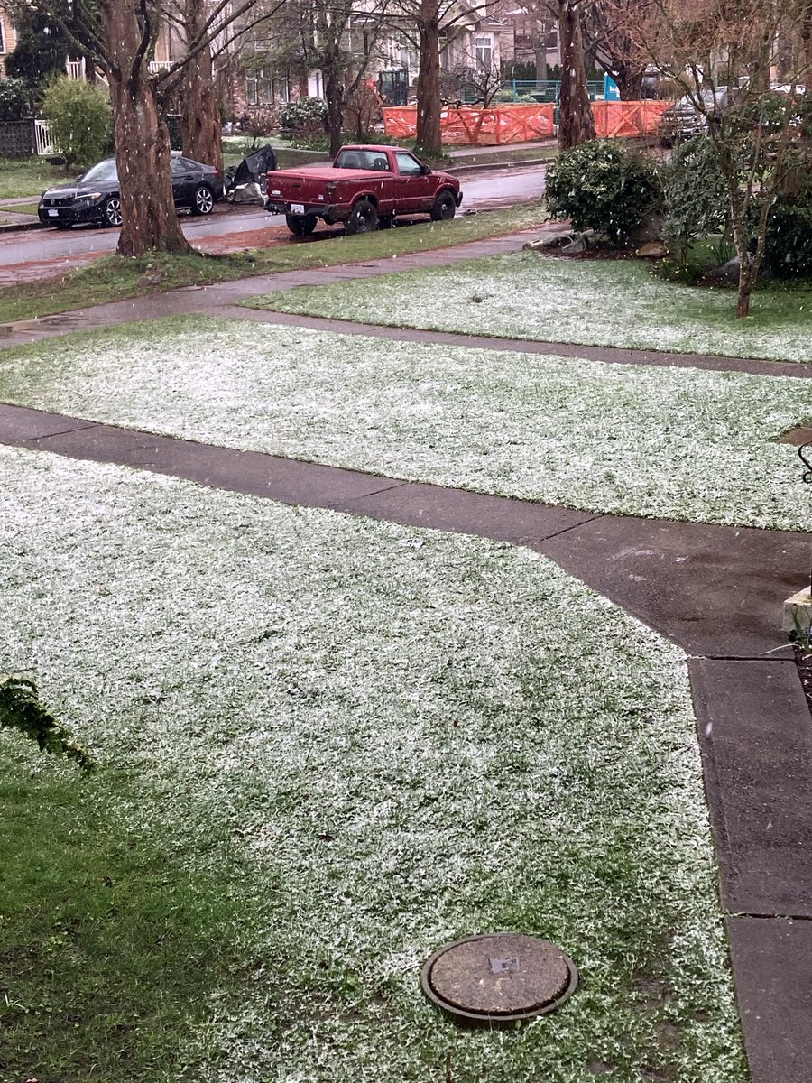 rodmickleburgh's tweet photo. #Snowmageddon https://t.co/a8Ee67FfV4