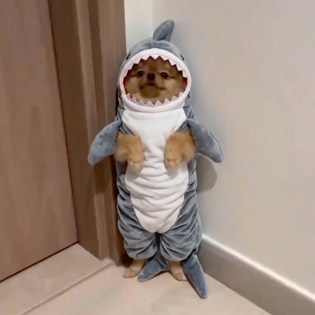 lorefinderdev tweet media