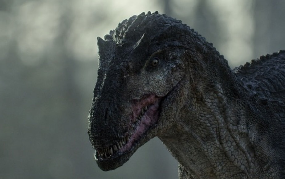 All0 Vera tweet media