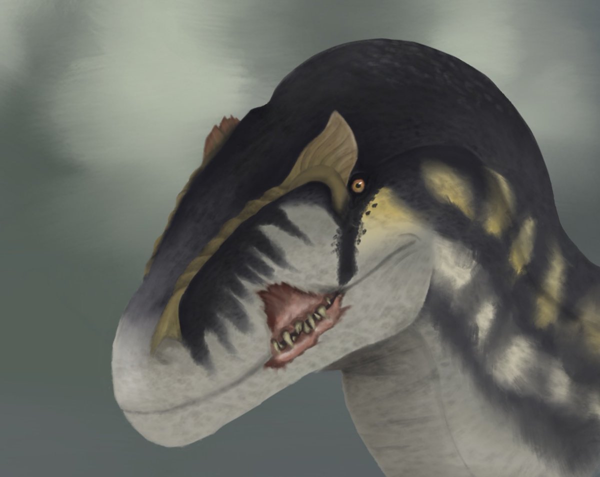 All0 Vera tweet media