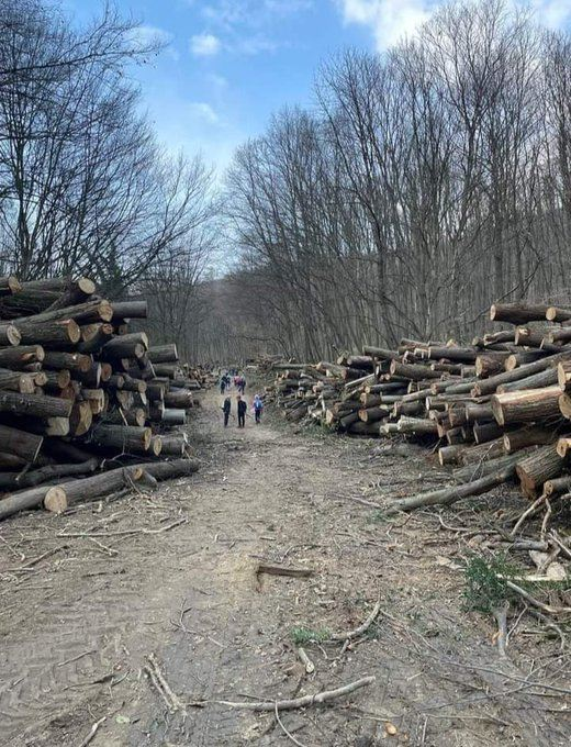 Fruška Gora
Štetočinska SNS bagra uništava sve čega se dohvati!
Ovo nijedna vlast u Srbiji, nikada nije radila!