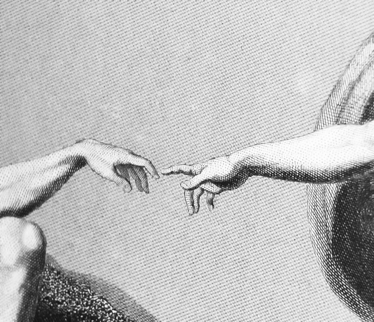 Discovery Institute's Center for Science & Culture tweet media