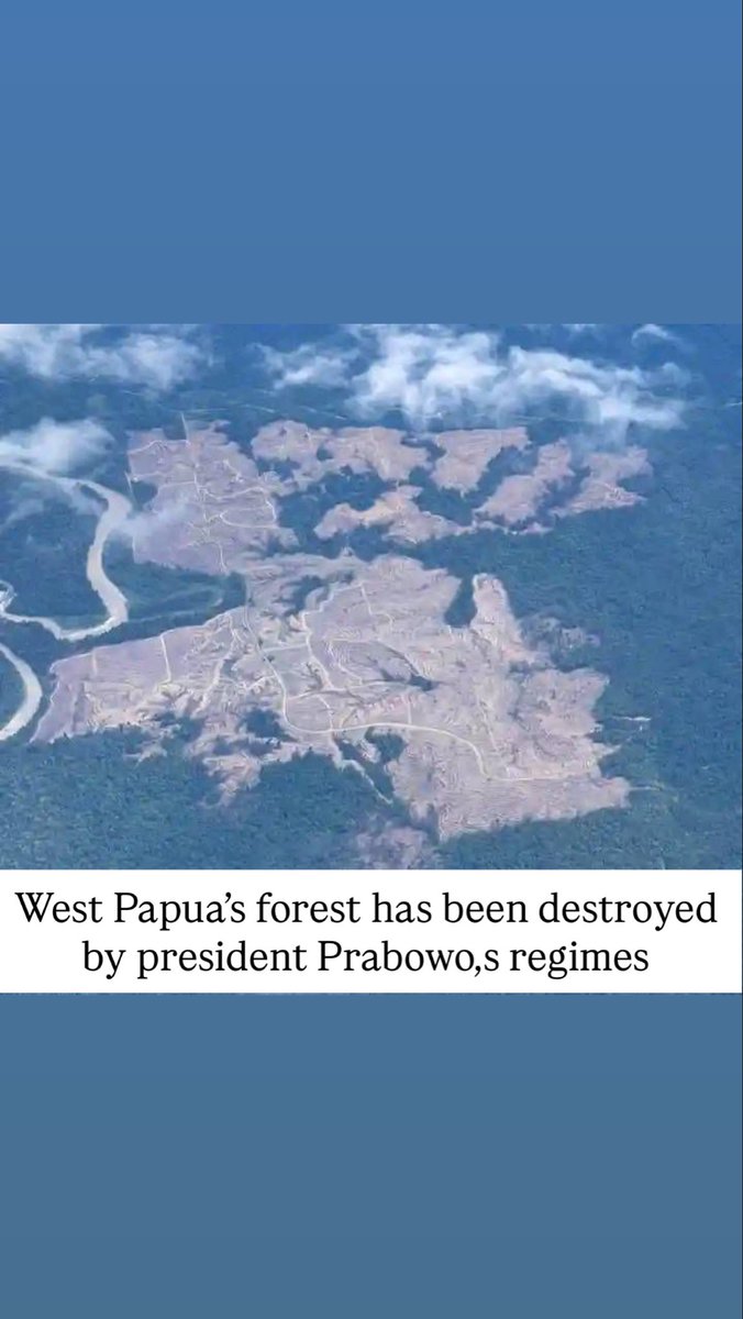 Papua’s forests are being cleared for oil palm plantations in Genyem, Jayapura.

While attention focuses on Merauke, deforestation is quietly expanding across Papua. This threatens biodiversity, Indigenous communities, and the home of the Birds of Paradise.

The world must not