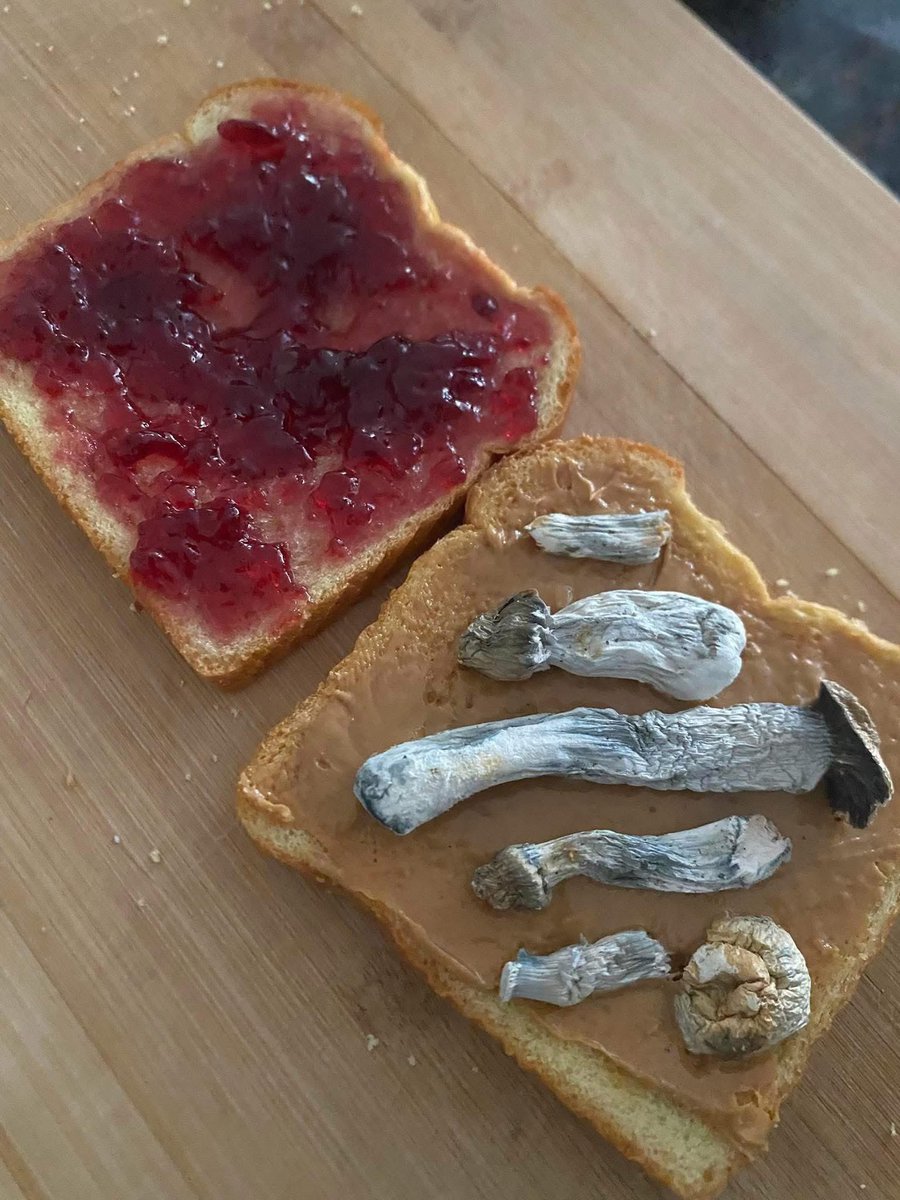 🧬Maxpein🧬 tweet media