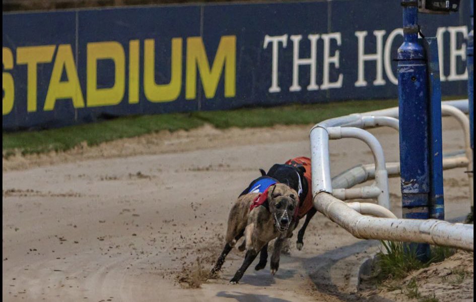 Trio Kennels tweet media