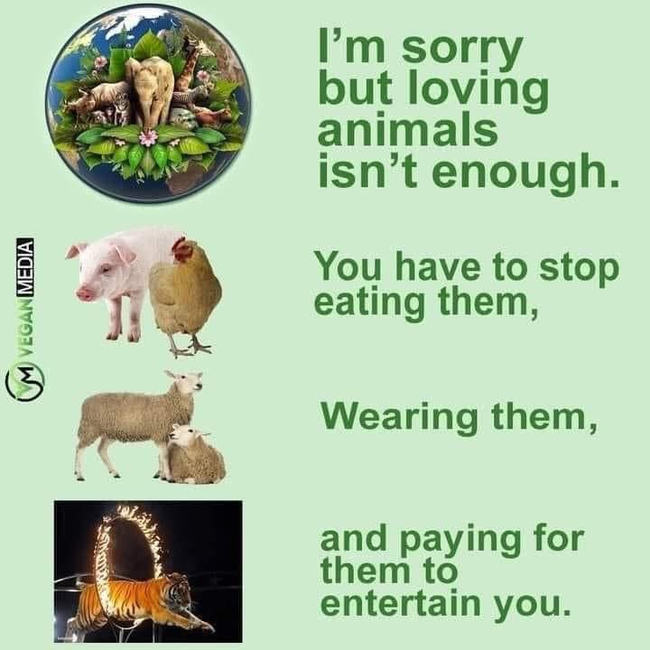 mikemasm Ⓥ tweet media