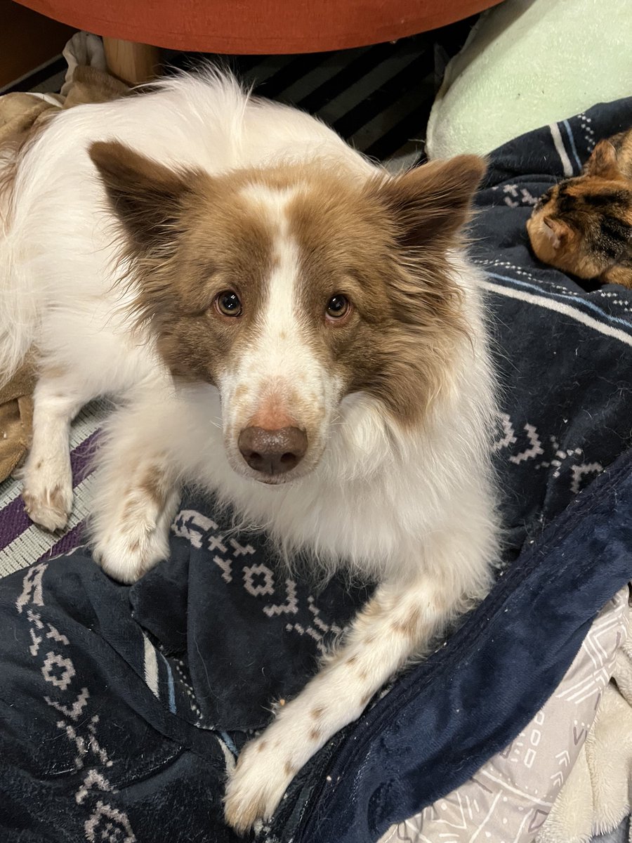 なんか期待してそうなお顔金ちゃん
〜たびちゃんを添えて〜