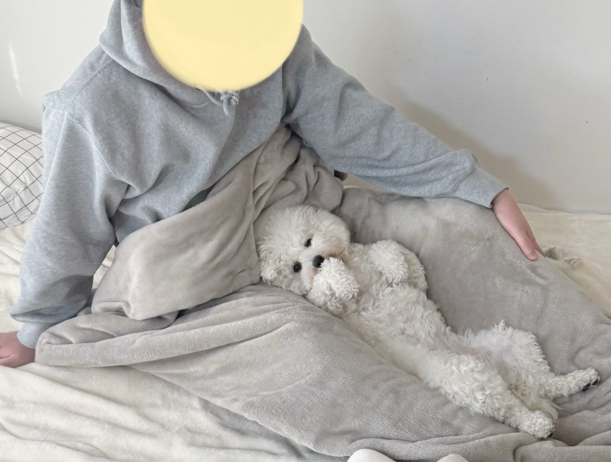 人間はそろそろさすがに起き上がらねばならないが、そんなことよりおなかを撫でていてほしい犬