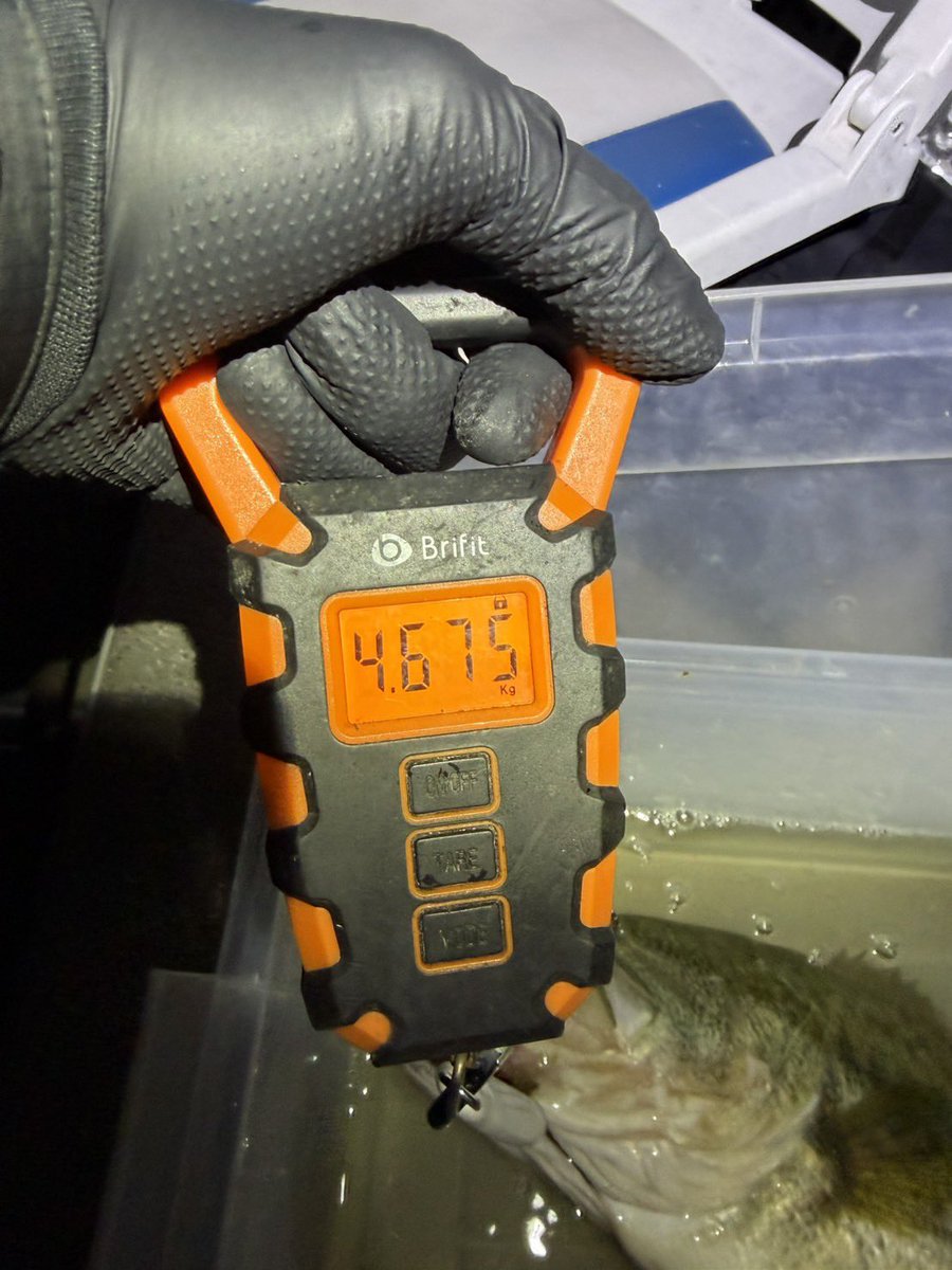 Ｒ ๛ก( `ᾥ´ก ) tweet media