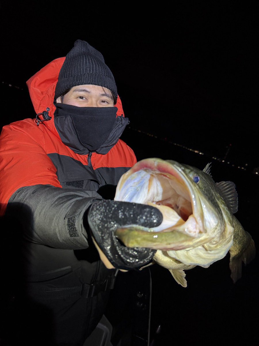 Ｒ ๛ก( `ᾥ´ก ) tweet media