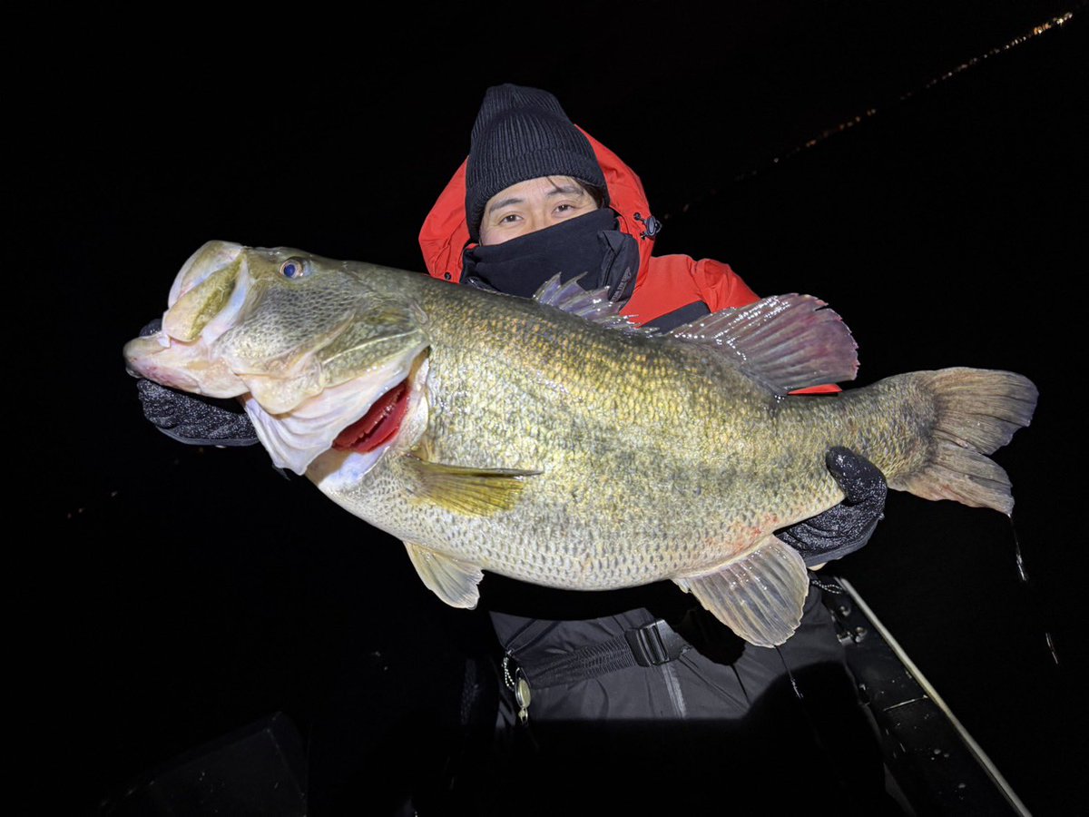 Ｒ ๛ก( `ᾥ´ก ) tweet media