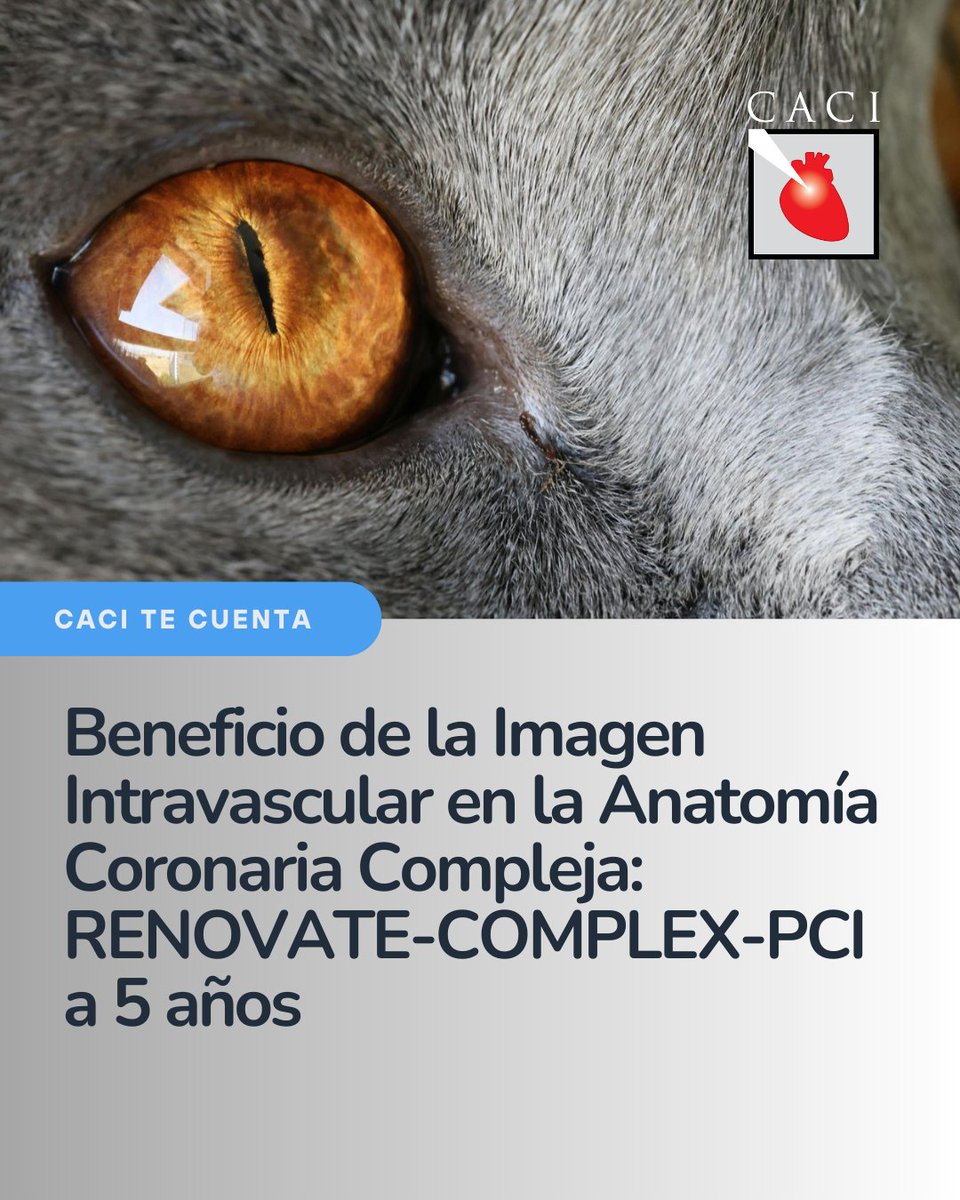 CACI Argentina tweet media