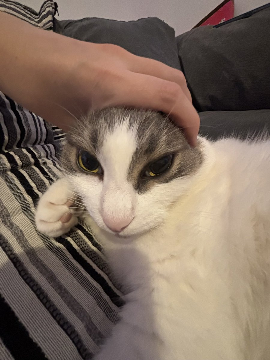 Holly Barter🍅🩷 tweet media