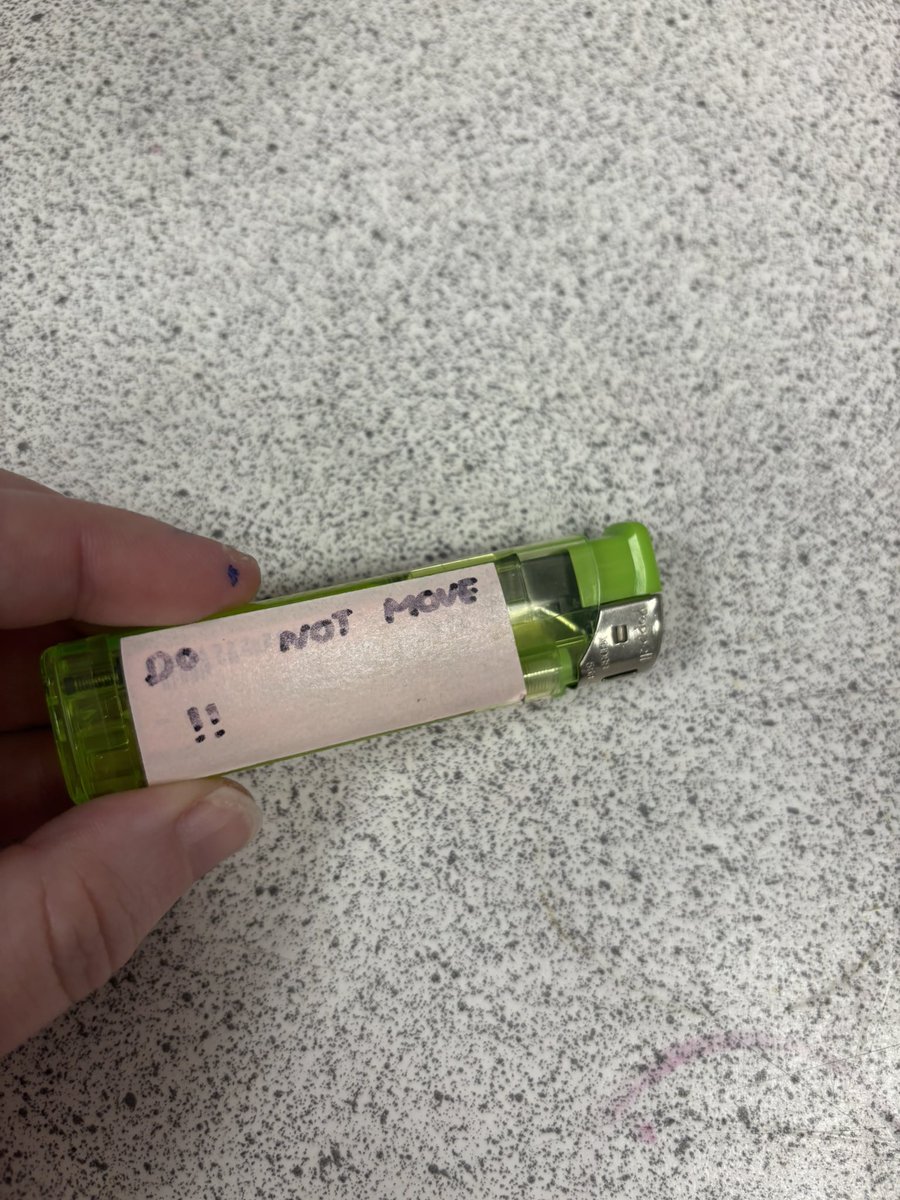 Holly Barter🍅🩷 tweet media