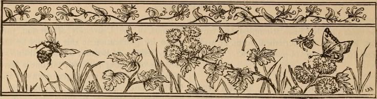 ever after deseo | vagas abertas tweet media