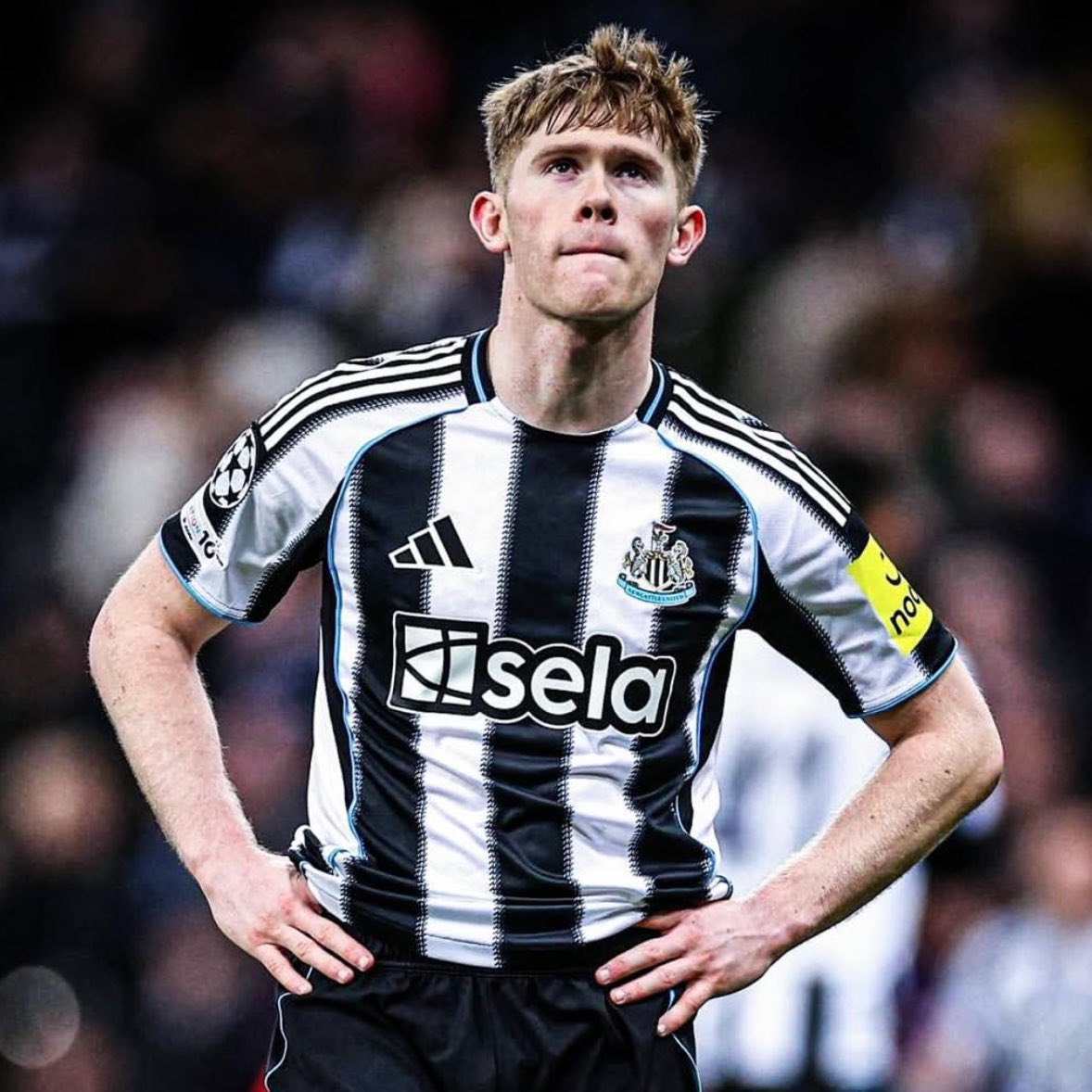 Magpie Media tweet media