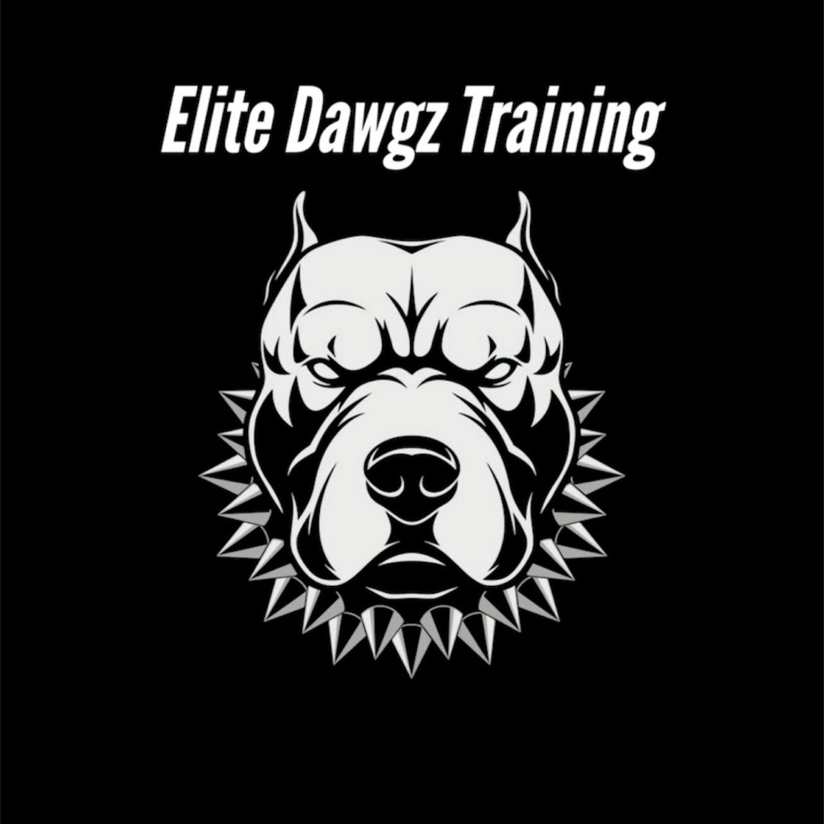 DL/EDGE Elite Dawgz Training (OH) tweet media