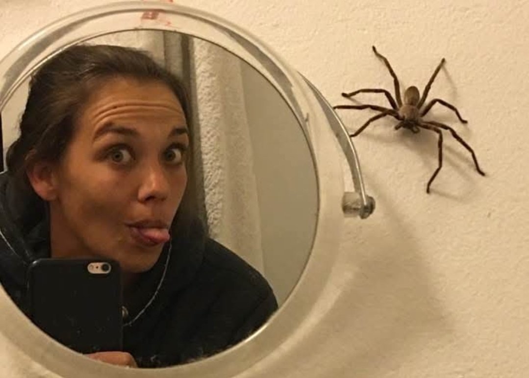 Roots.eth tweet media